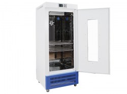BJPX-I-2
